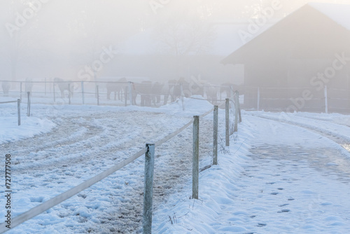Reitbahn im Schnee mit Nebel im Winter © H. Rambold