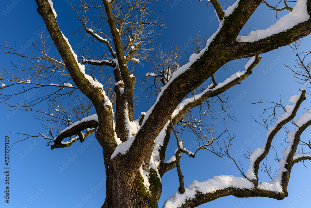 Wege im Winter im Schnee bei Sonnenschein Wege im Winter im Schnee bei Sonnenschein