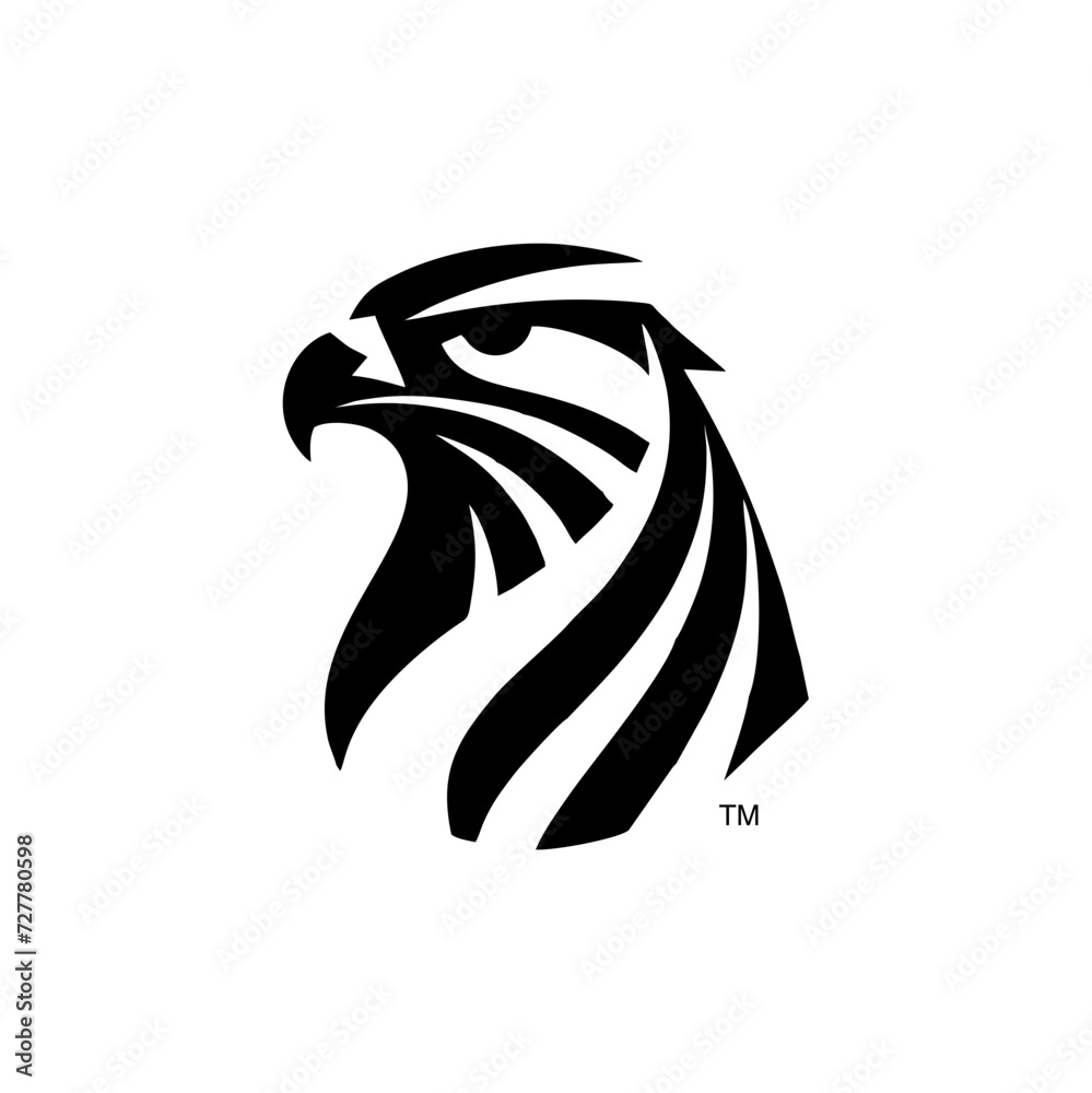 Obraz premium Falcon head Logo symbol