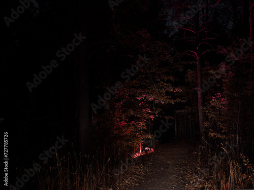 Dark passage in the forest illuminated with red light captured in Helsinki central parkl photo