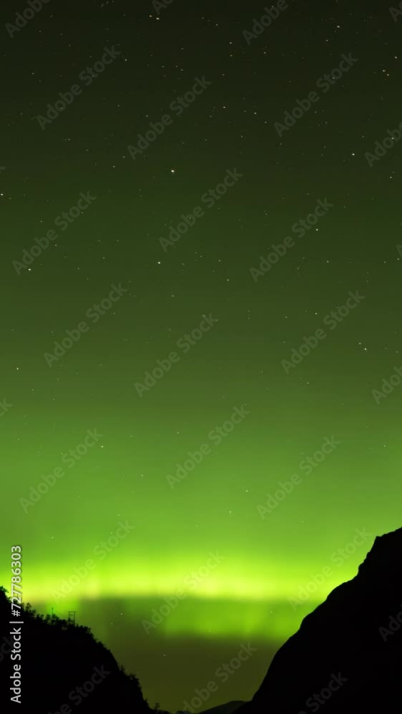 aurora borealis in norway in vertical aurora borealis in norway in vertical
