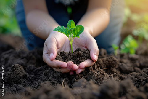 woman holding a sprout of a plant in the ground