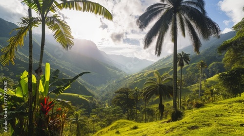  July 20th  integrated with Colombia s Cocora Valley for Independence Day  surrounded by wax palm trees and vibrant flora. 