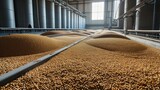 A huge granary is filled with grain