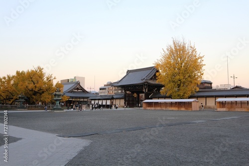 Wallpaper Mural Goeido Gate and large ginkgo tree in dusk in Nishi Hongwanji Temple, Kyoto, Japan Torontodigital.ca