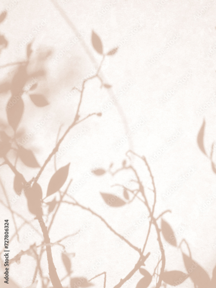 Shadow of leaves in warm autumn colors on concrete wall texture background Shadow of leaves in warm autumn colors on concrete wall texture background