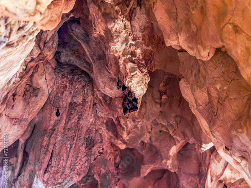 Fototapeta Naklejka Na Ścianę i Meble -  Cueva de Las Güixas, Villanúa, Pyrenees, Huesca, Aragon, Spain. Cave that can be visited in Villanua