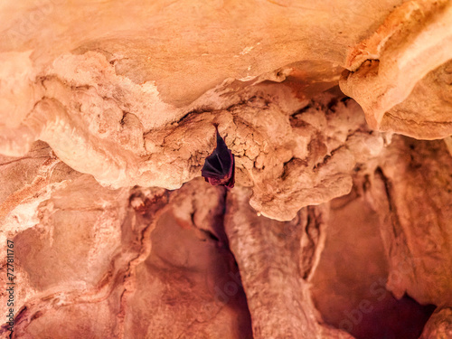 Cueva de Las Güixas, Villanúa, Pyrenees, Huesca, Aragon, Spain. Cave that can be visited in Villanua photo