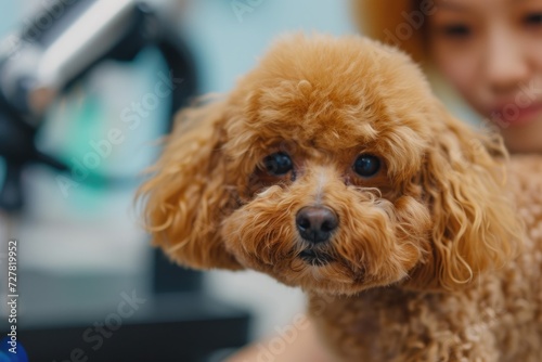 A woman holding a brown dog in front of a sink. Can be used to showcase the bond between humans and their pets. © Fotograf