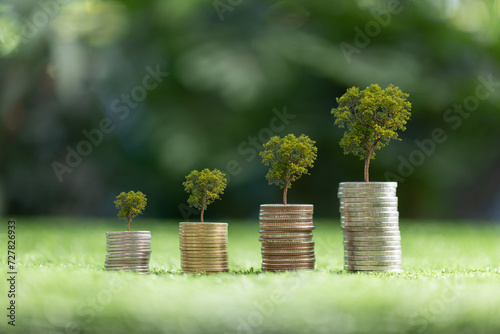Green business growth and sustainable energy concepts. Showing financial developments and business growth with growing tree on coin. Finance sustainable development. Investing in renewable energy.