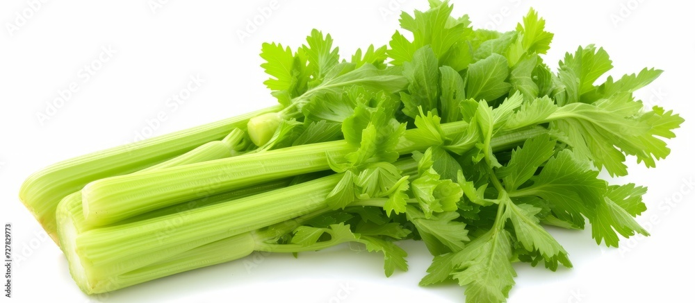 Fresh Celery on White Background: A Vibrant Display of Fresh Celery Stalks Popping Against a Clean White Background Fresh Celery on White Background: A Vibrant Display of Fresh Celery Stalks Popping Against a Clean White Background
