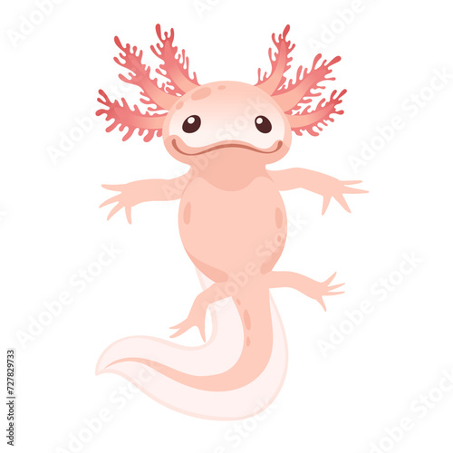 Cute cartoon axolotl pink color amphibian animal vector illustration isolated on white background