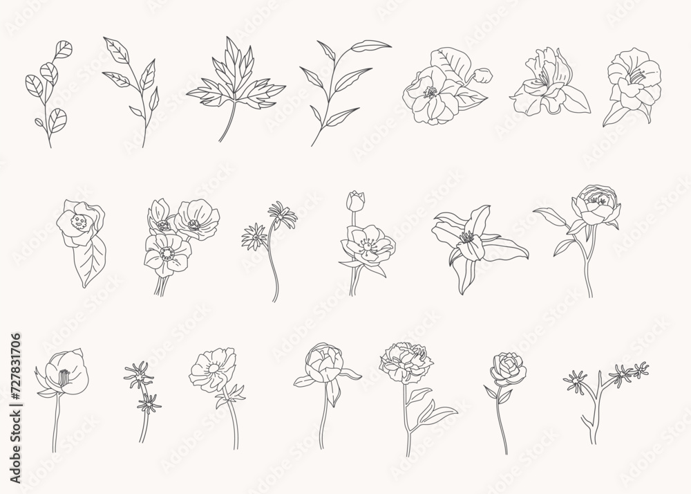 Set of botanical leaf doodle line art hand drawn floral decorative elements