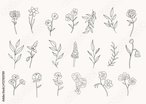 Set of botanical leaf doodle line art hand drawn floral decorative elements
