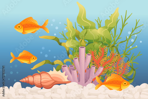 Aquarium with fishes grass stones and decorative items vector illustration isolated on white background