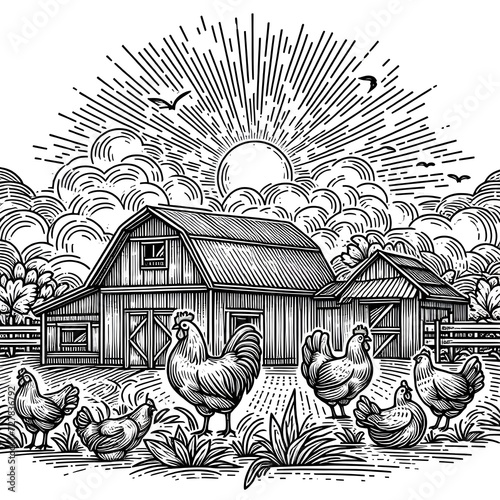 illustration of a chickens Standing in Front of Farmhouses on a Sunny Day