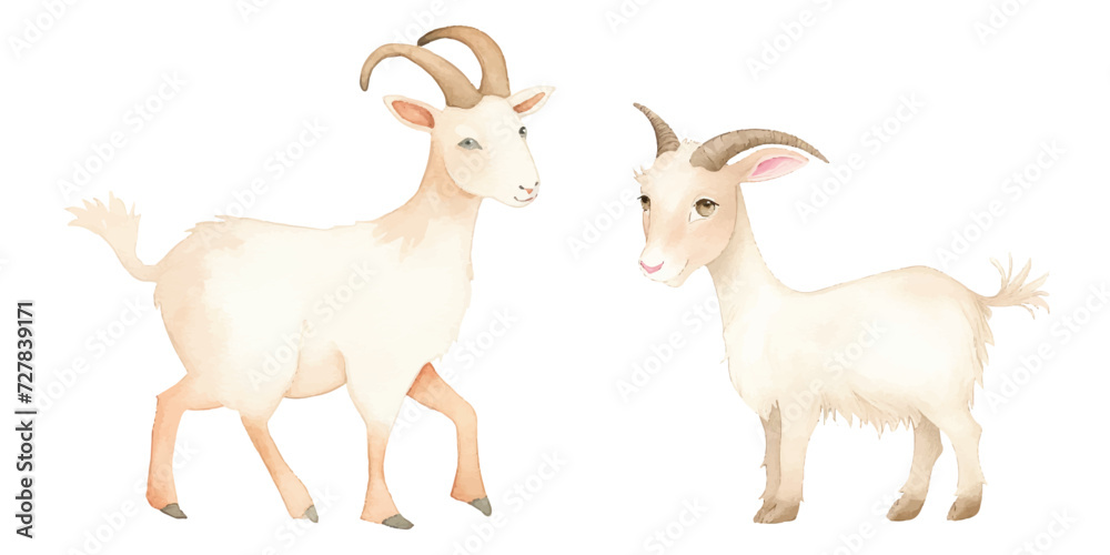 Obraz premium cute goat watercolor vector illustration