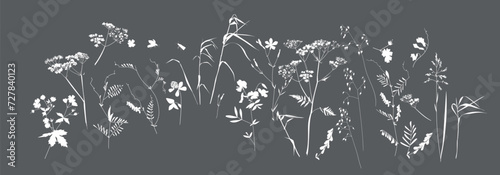 Field flowers and grasses, line drawing. Vector illustration	