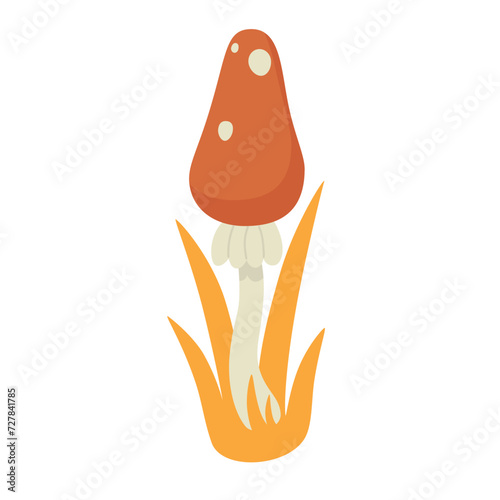 Poisonous mushroom. Amanita muscaria, toxic mushroom, forest flora vector illustration photo