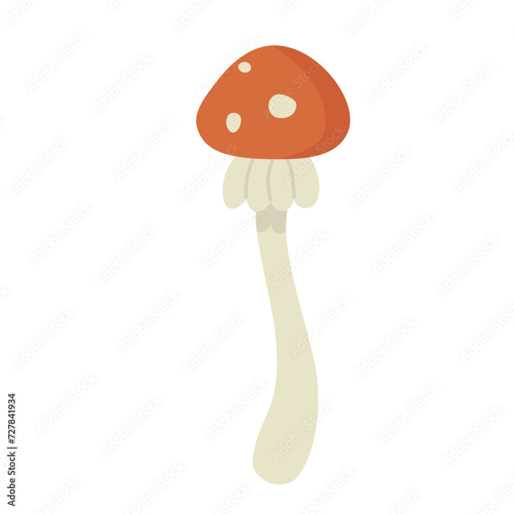 Toxic forest mushroom. Poisonous mushroom, amanita muscaria vector illustration