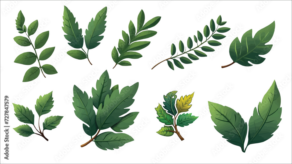set of green leaves - obrazy, fototapety, plakaty 