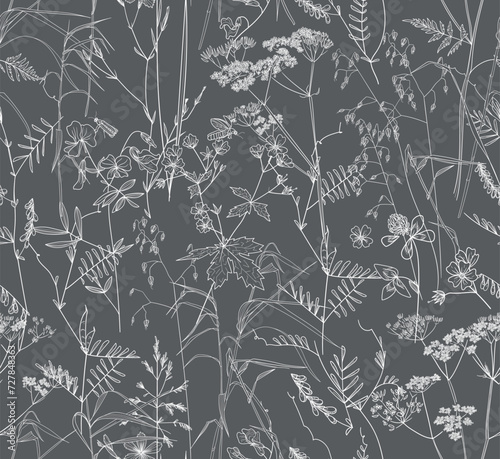 Seamless pattern. Field flowers and grasses, line drawing. Vector illustration