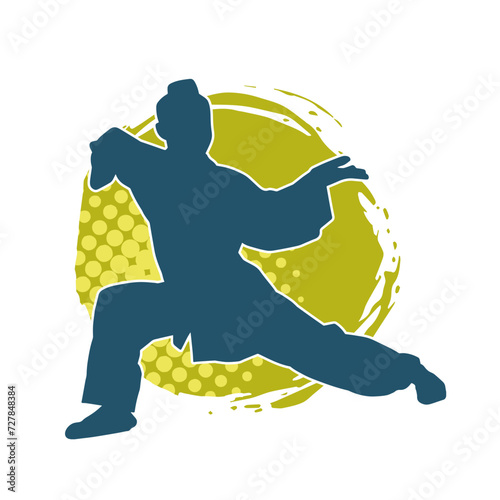 Silhouette of a slim female doing martial art pose. Silhouette of a martial art woman in action pose.