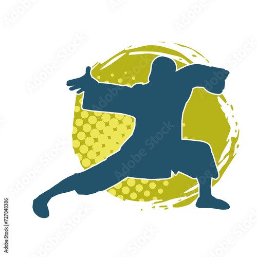 Silhouette of a man in oriental martial art pose. Silhouette of a male in martial art move.
