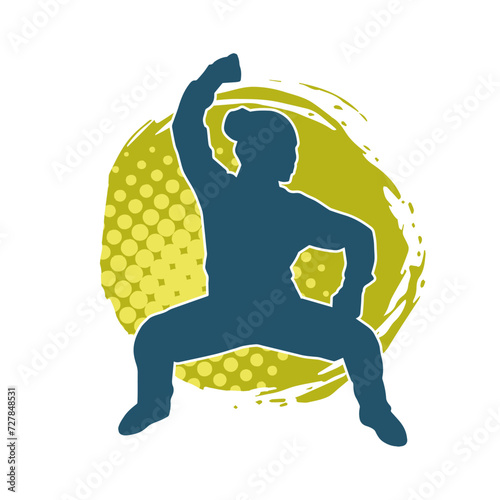 Silhouette of a slim female doing martial art pose. Silhouette of a martial art woman in action pose.