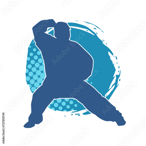 Silhouette of a man in oriental martial art pose. Silhouette of a male in martial art move.