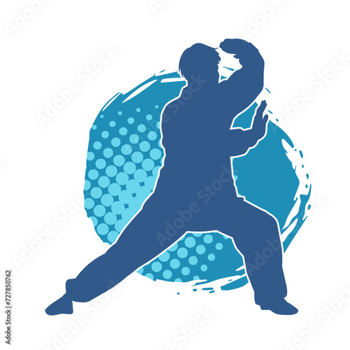 Silhouette of a man in oriental martial art pose. Silhouette of a male in martial art move.