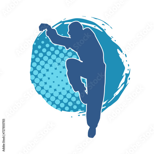 Silhouette of a man in oriental martial art pose. Silhouette of a male in martial art move.