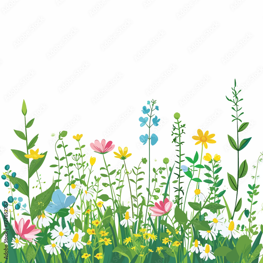 Wildflowers in a meadow Wildflowers in a meadow