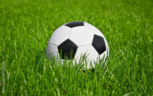 Football ball in green grass of soccer field © breakingthewalls