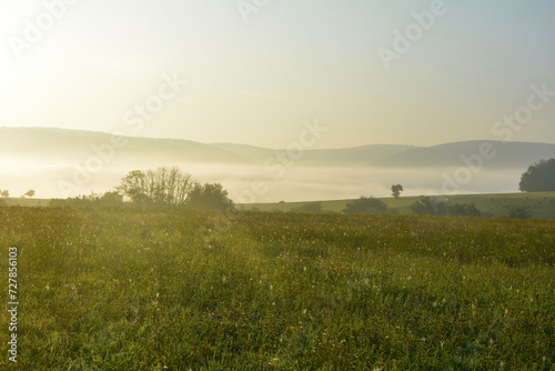 Early morning landscape with fog