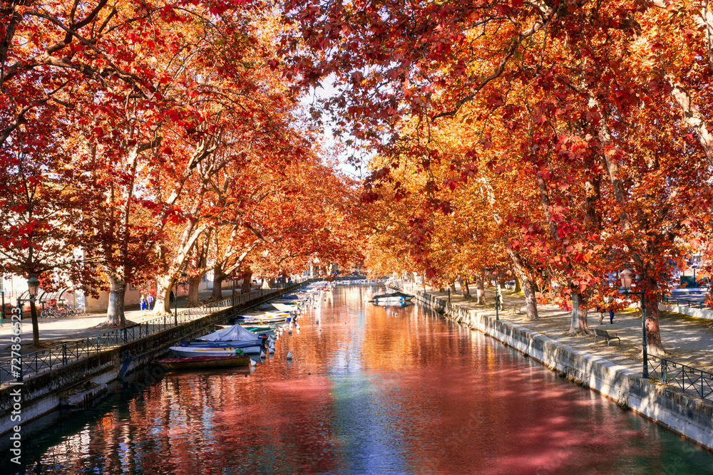 Obraz premium Natural maple tree tunnel with Canal du Vasse on Anncery Lake