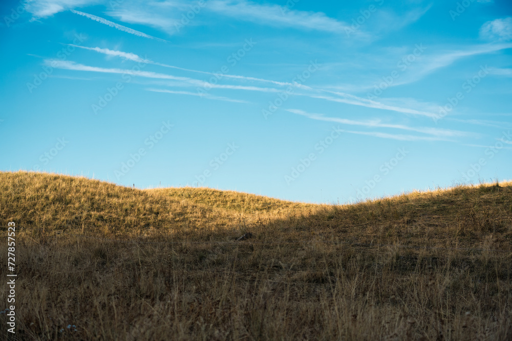 Golden meadow hill with blue sky in countryside