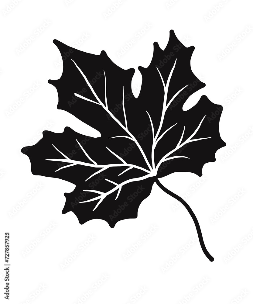 Naklejka premium Illustrations black white images artline leaves photo tree flower