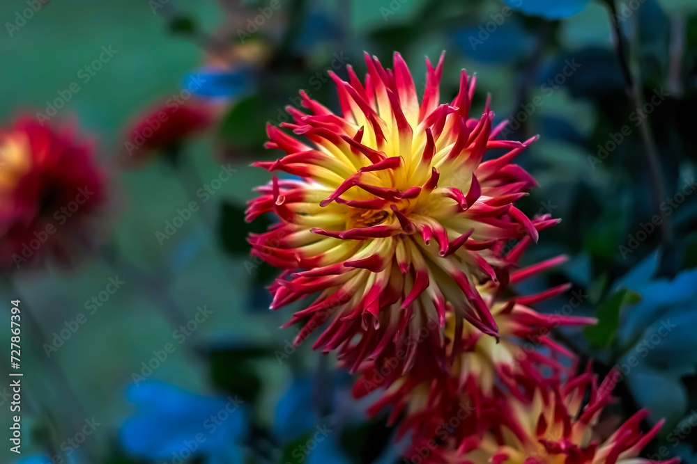 Red and yellow flowers adorned with a captivating butterfly Red and yellow flowers adorned with a captivating butterfly