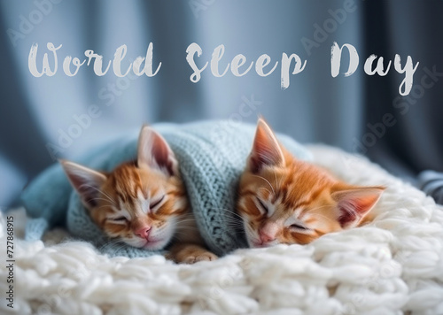 Ginger kittens sleeping together, world sleep day