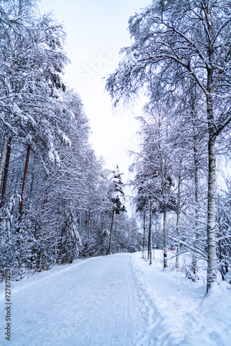 Winter time in snowy Rovaniemi Lapland, winterwonderland shortly before christmas season