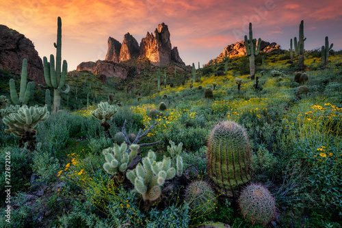 Bild auf Leinwand Sunset in the Superstition Mountains of Arizona