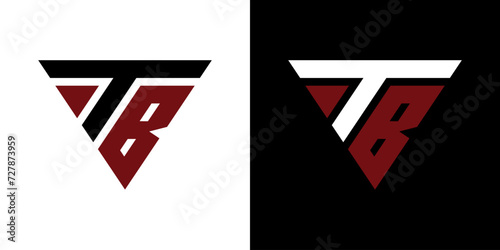 vector logo TB abstract combination of triangles
