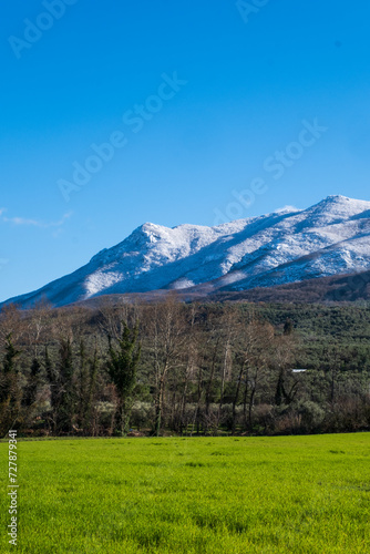 four seasons of snow and mountains in the plain green field background photo