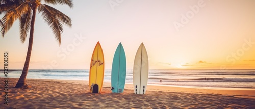 Surfboards on the beach at sunset time - Vintage filter effect. Surfboards on the beach. Vacation Concept with Copy Space. © John Martin