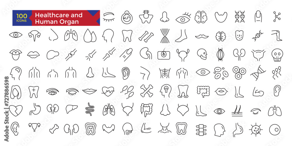 Healthcare hospital concept human organ anatomy icons set Healthcare hospital concept human organ anatomy icons set
