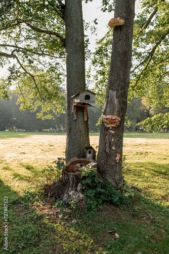 birdhouse and insect house on a tree in the park