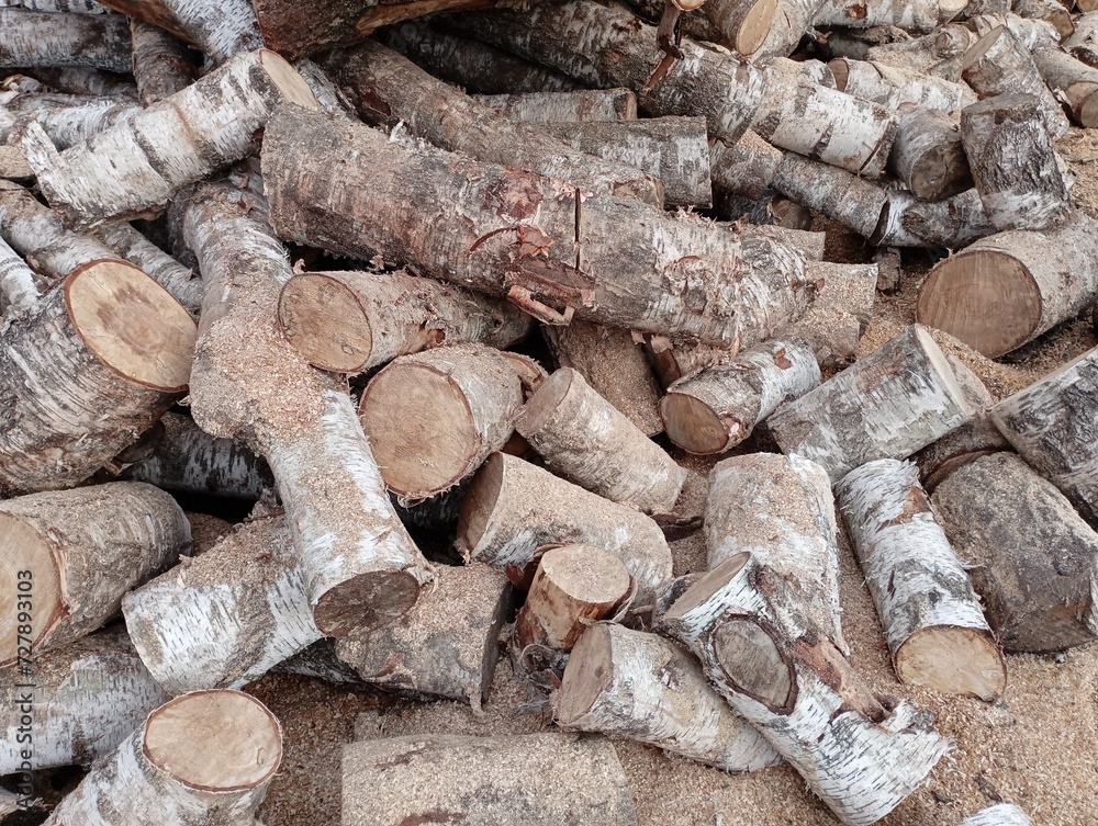 Birch wood cut into logs forms a continuous texture and fills the entire photo. Firewood for heating the house.