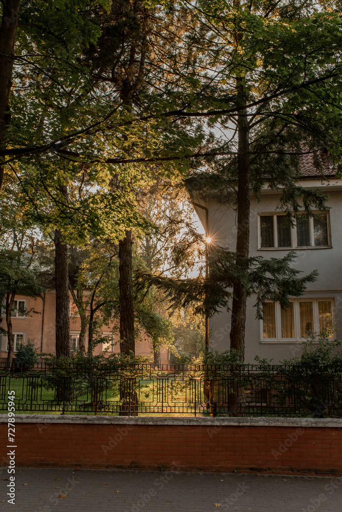 rays of sunlight between two residential buildings and trees. a cozy city street with old houses at sunset. a cozy urban environment.