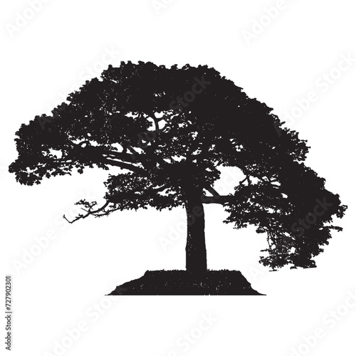 Nature Tree Silhouette 